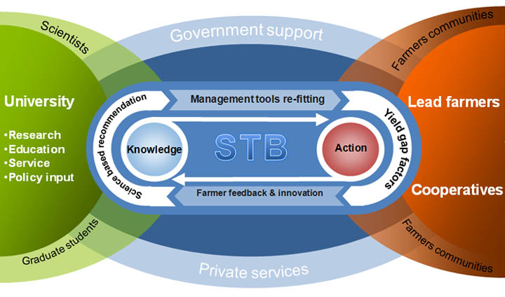 Organization service system of STB
