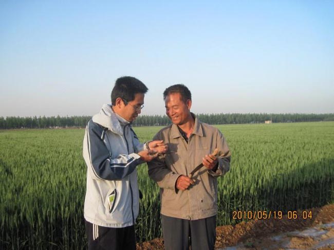 Discuss with farmer about watermelon disease in the field